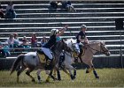 Pferd International 033